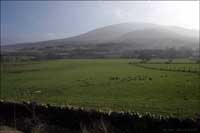 Hill across a field